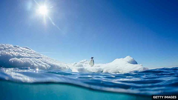 Ozone hole Why Antarctic wildlife is being ‘sunburnt’